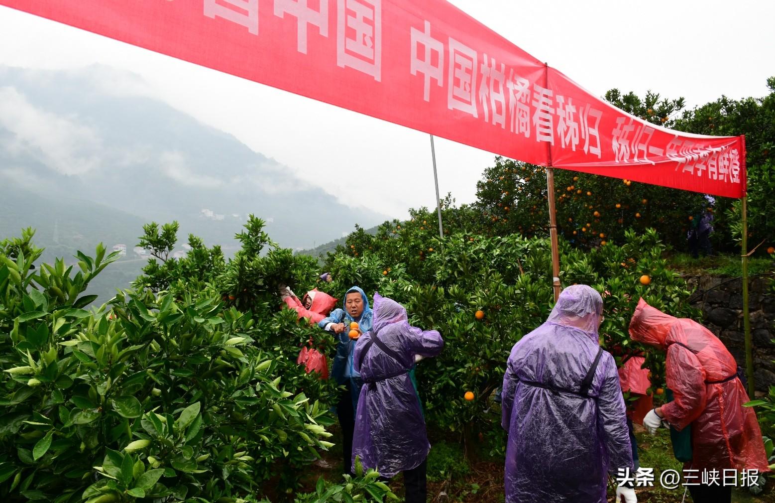 昆仑镜之忆，解锁学习变化的力量，自信成就梦想攻略之旅