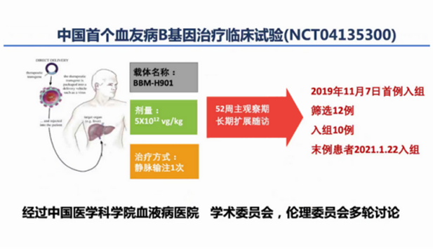 血友病最新长效八因子，突破治疗瓶颈的新希望探索