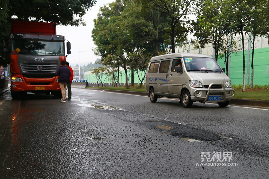 尧红路上的日常趣事概览