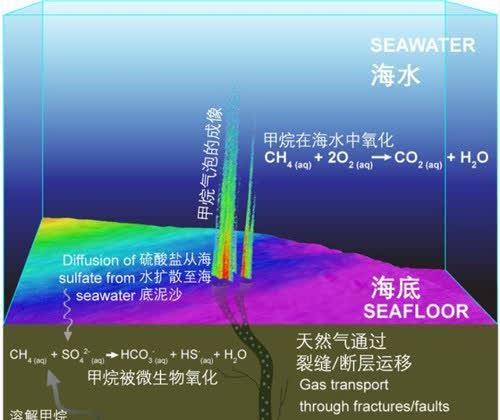 2024澳门免费最精准龙门,珍惜资源活动实施方案_未来版INP178.141