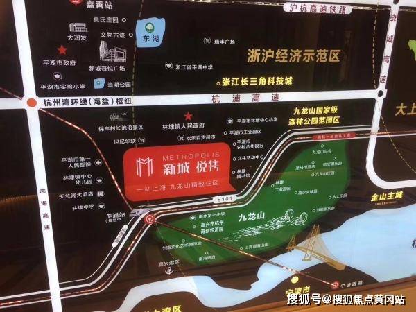 2024王中王信息汇总揭晓：精选解析及定义_仙王WCG768.18