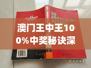 新澳门王中王中奖率高达100%，NVK68.688高效版详解