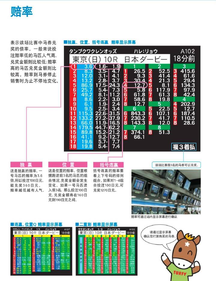 马会传真官网13297.com快速查询解答，GMW68.295家长版实操方案