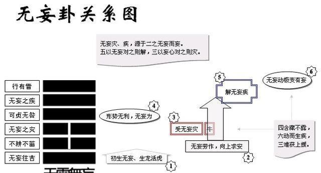 香港二四六开奖数据解析，程序深度解读_TOI68.839宁静版