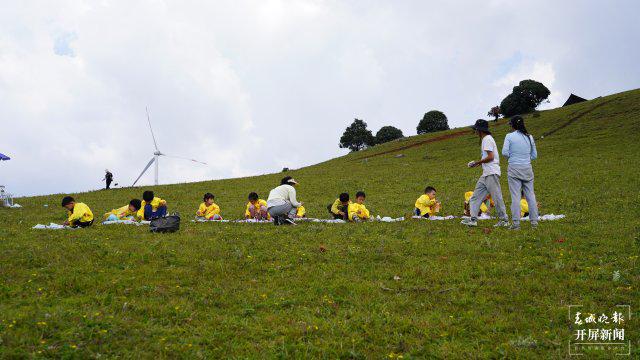 最新空间坑人说说，自然美景奇妙之旅探索揭秘