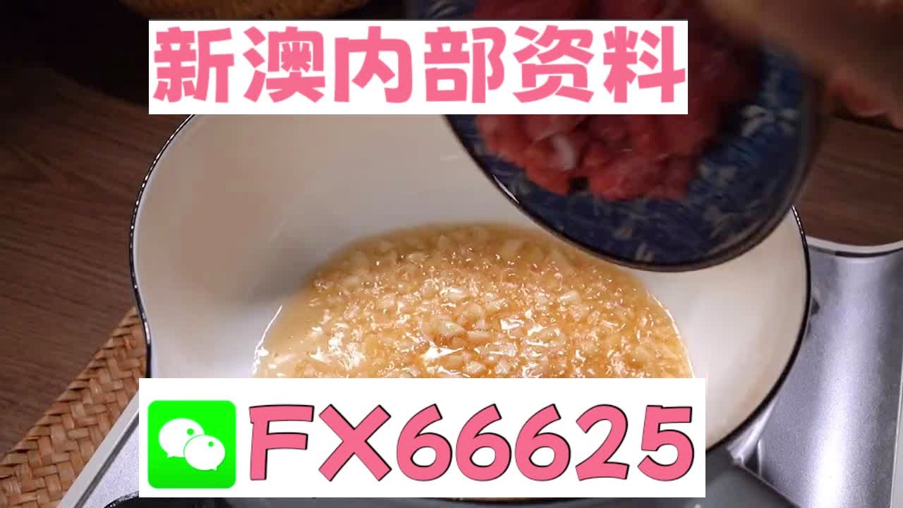 新澳门精准10码中特,专业解读方案实施_XNP35.536游戏版