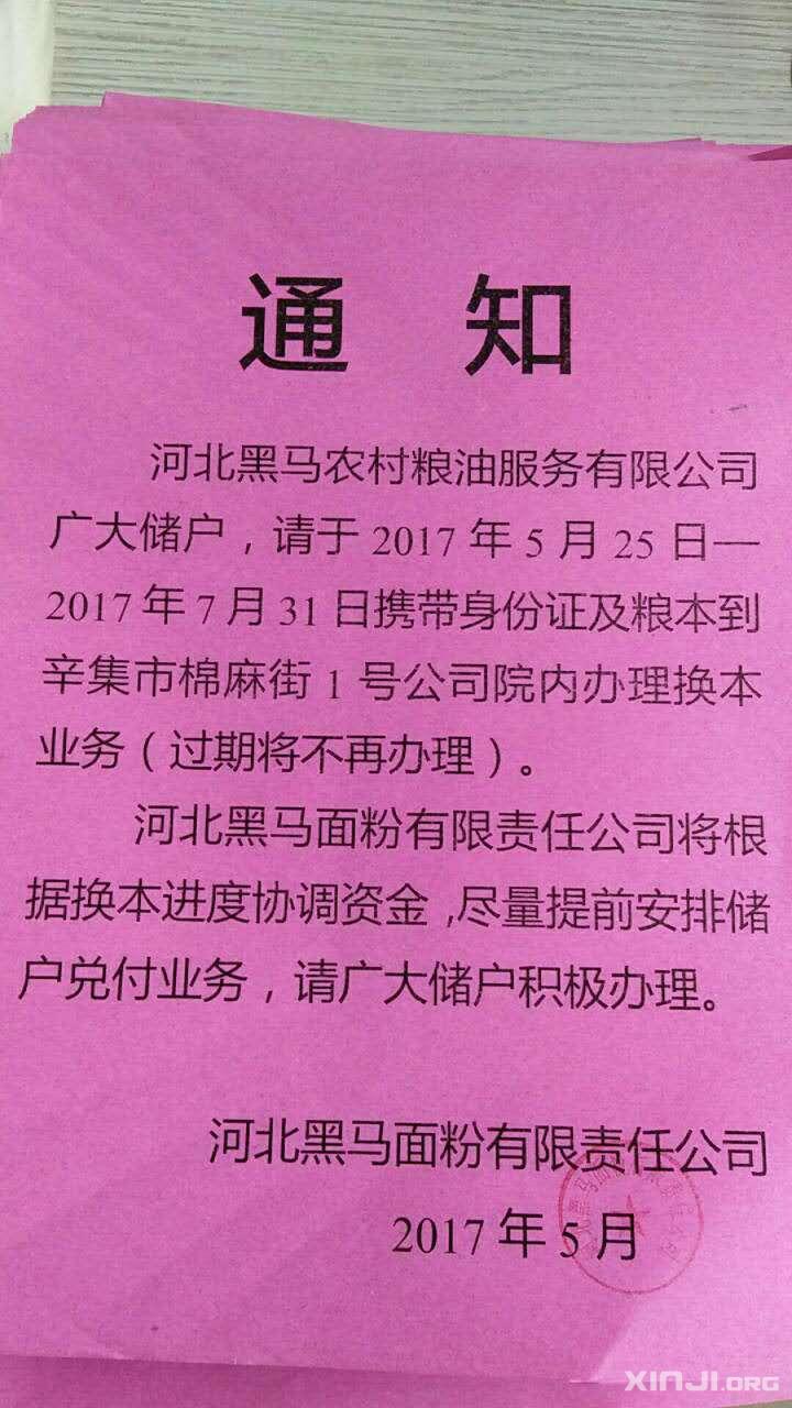 黑马面粉最新动态及获取全面指南