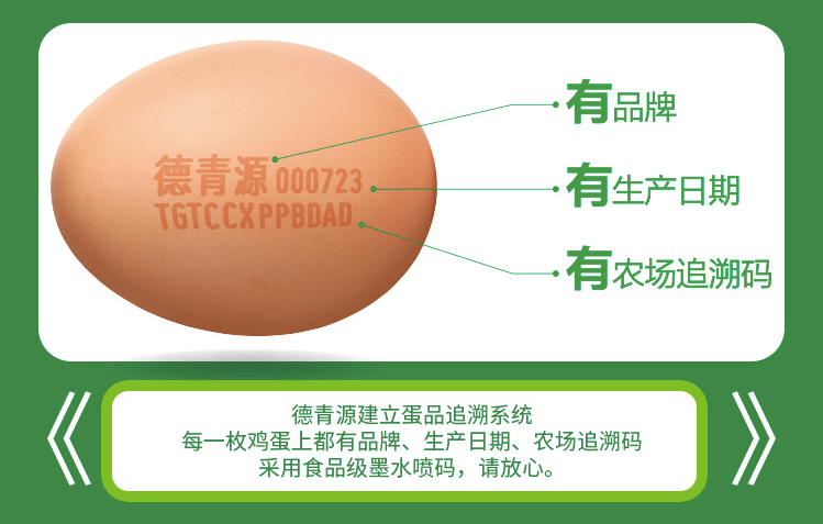 德青源最新动态，时代前沿的引领者