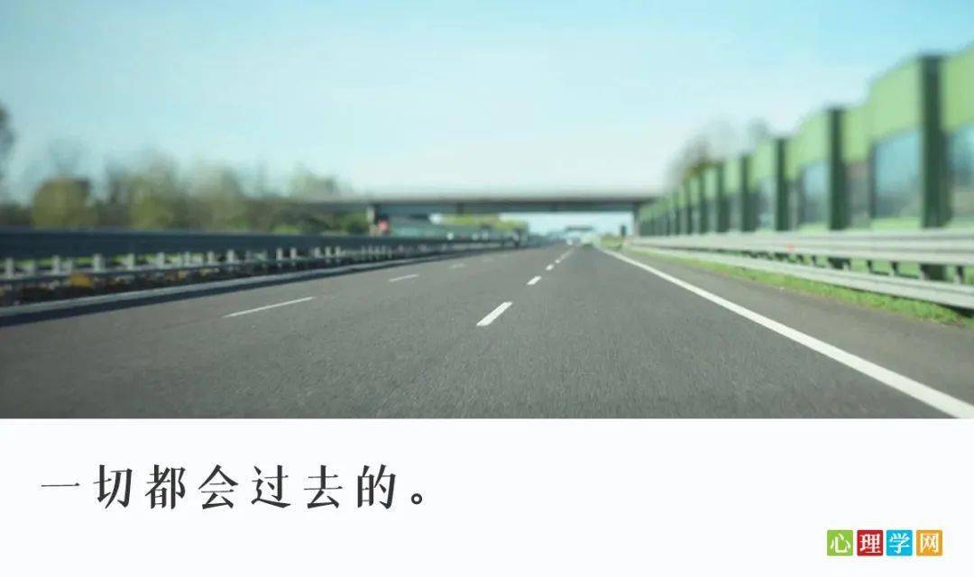 金唐公路上的温情时光，友情与陪伴的公路故事最新消息