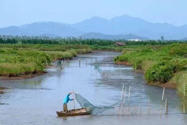 管湾湿地公园，探险之旅与友情自然的温馨邂逅最新报道