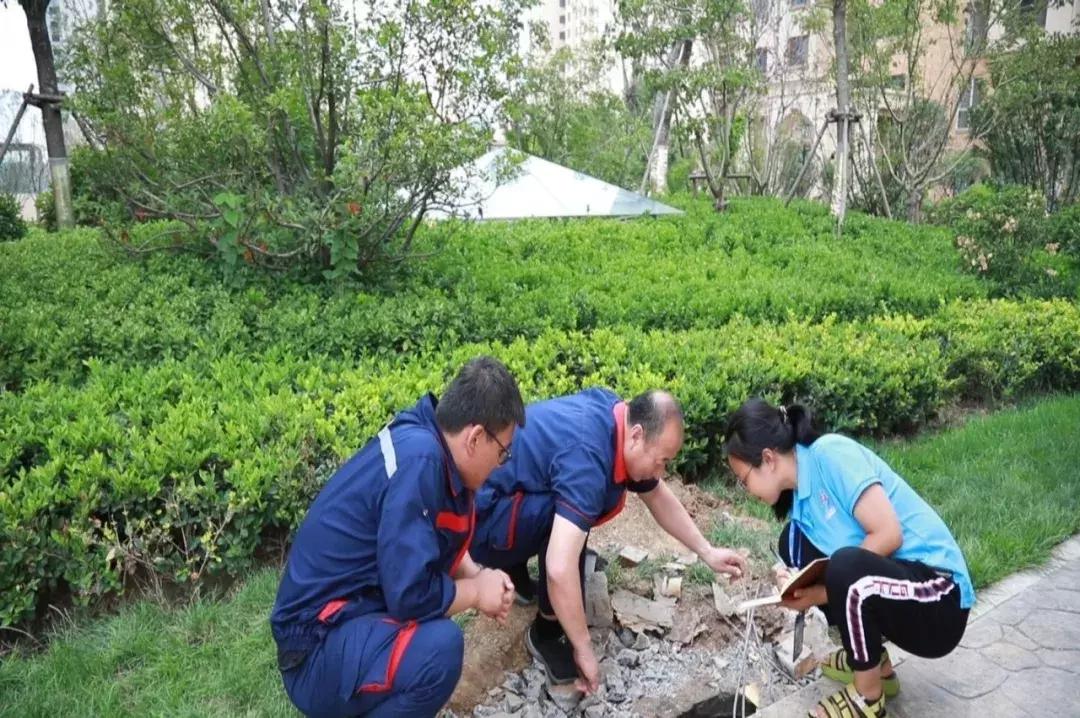 广饶女工最新招聘信息,广饶女工最新招聘信息——小巷中的独特机遇