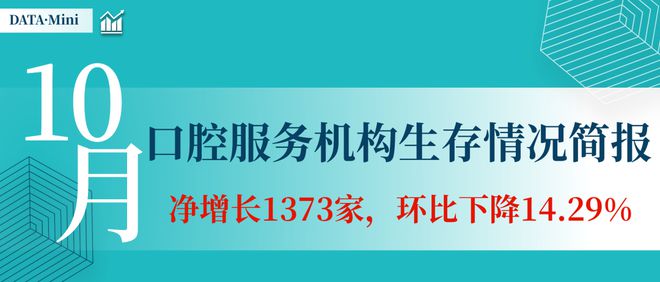 青田司法局房屋拍卖最新动态，一手资讯全掌握