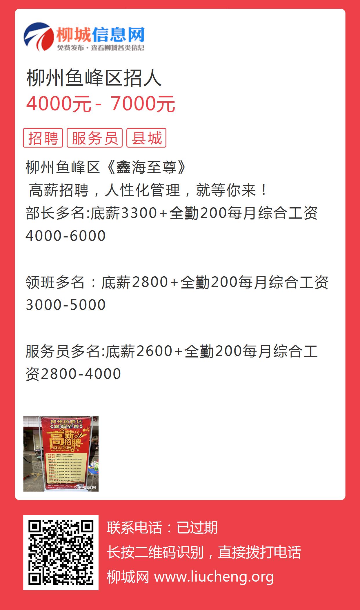 通山包砣网最新招聘，深度解读与观点阐述，求职招聘新动向！