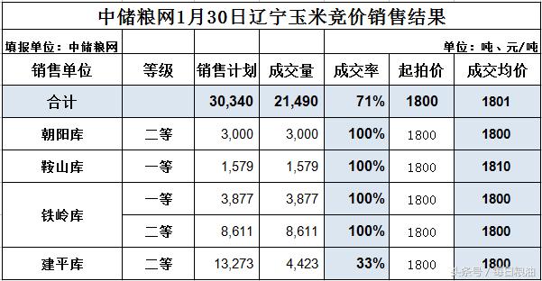 荆州玉米价格最新行情详解与技能指南，如何获取并分析玉米价格走势