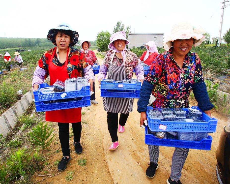 胶南日结工最新招聘，行业现状与各方观点深度解析及个立场探析