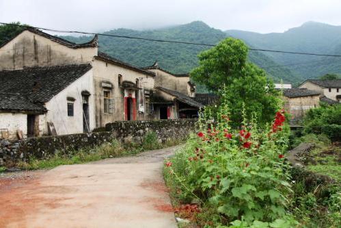 陵川贴吧独家揭秘，小巷深处的隐藏版特色小店最新动态