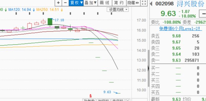 浔兴股份最新消息与动态解析