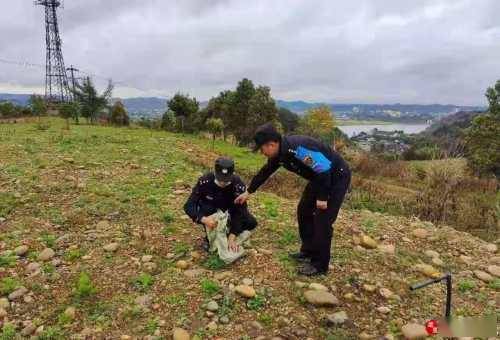 偷车不如享受浮生半日闲，自然美景的心灵之旅