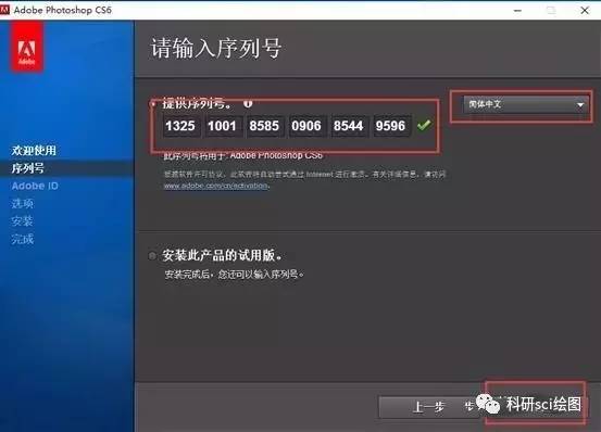 下载电影软件，初学者与进阶用户的详细步骤指南大全
