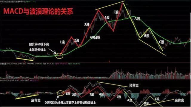 股票越跌越买，信心与自我成长的博弈之路