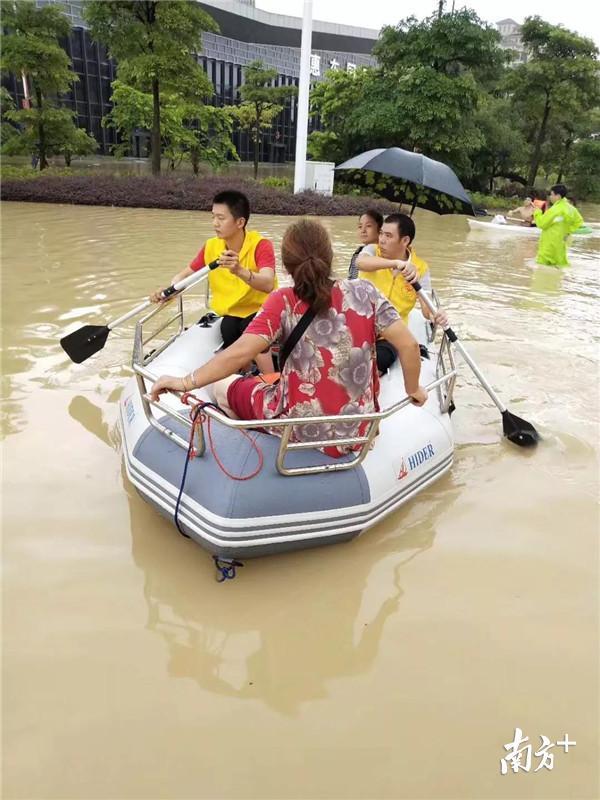 惠东弘诚厚园最新动态揭秘，自然美景之旅，重拾内心的宁静与平和新篇章
