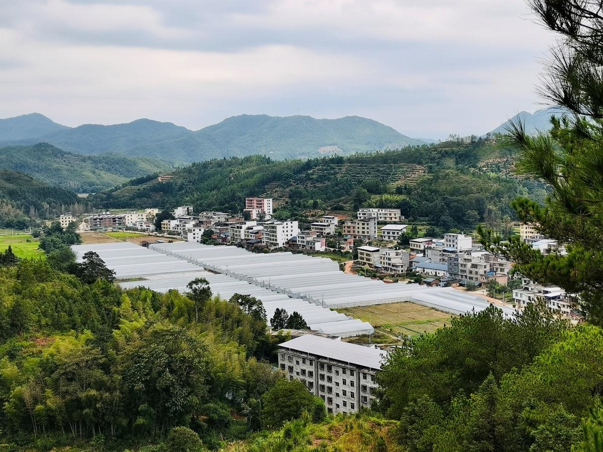 长沙隐秘小巷二手房新篇章，独特环境与特色小店的奇妙故事背后的房价探索