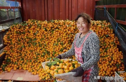 单身公社，时代产物与文化印记的资讯集结地